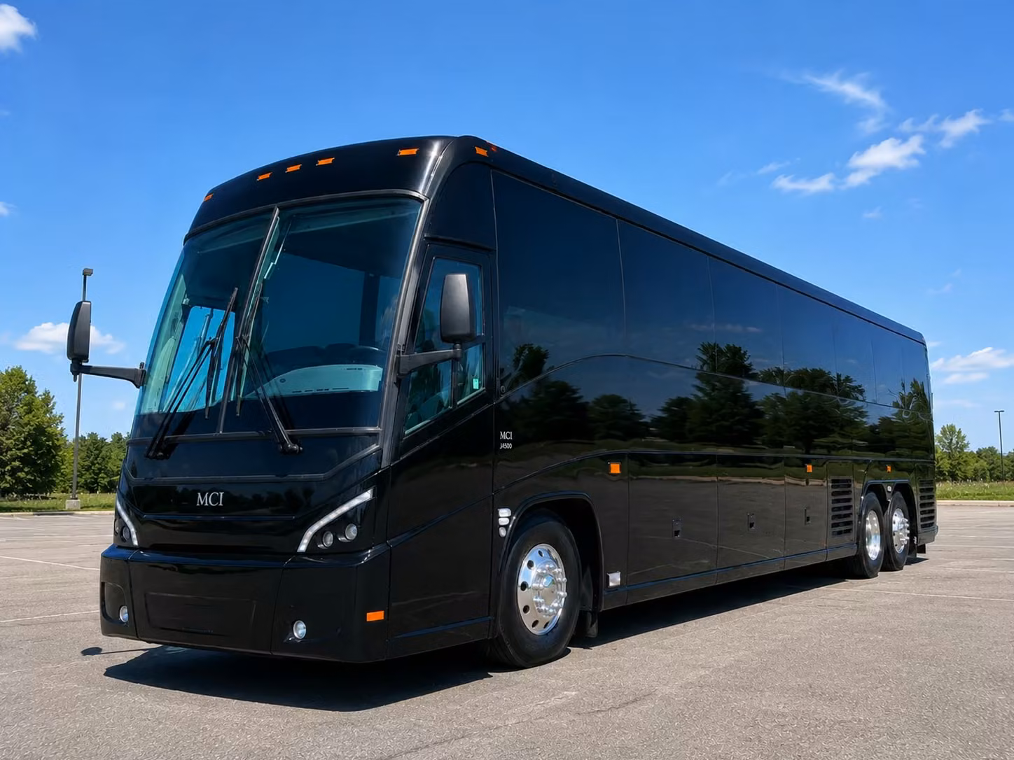 sarasota zoo and wildlife field trip transportation made easy